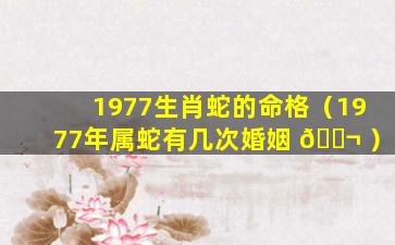 1977生肖蛇的命格（1977年属蛇有几次婚姻 🐬 ）